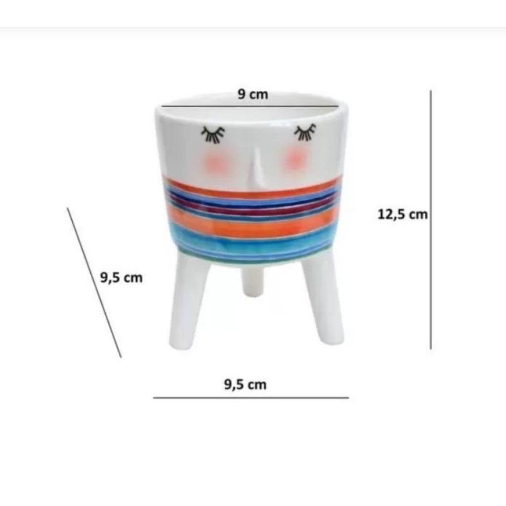 Cachepot Para Suculentas - Rostinho da Alegria