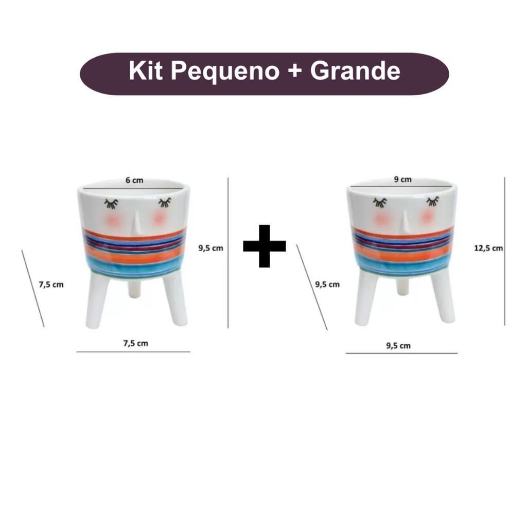 Cachepot Para Suculentas - Rostinho da Alegria