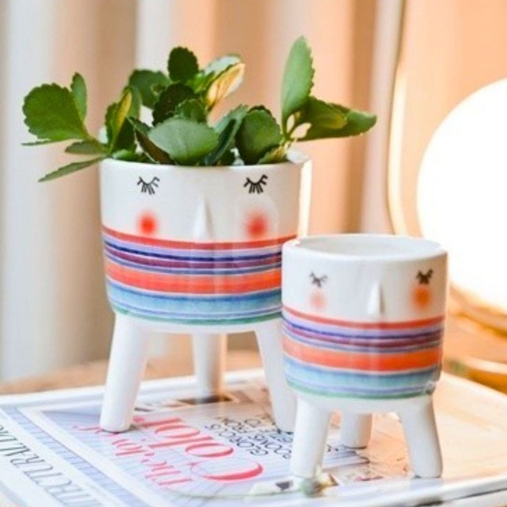 Cachepot Para Suculentas - Rostinho da Alegria