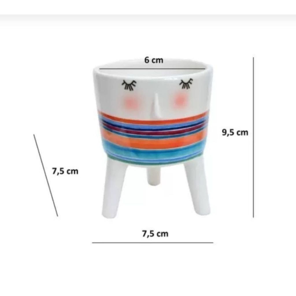Cachepot Para Suculentas - Rostinho da Alegria