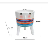 Cachepot Para Suculentas - Rostinho da Alegria