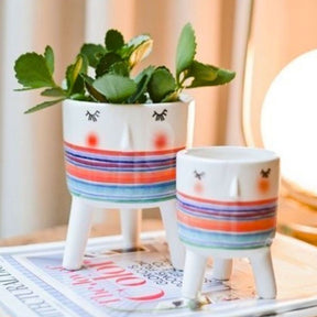 Cachepot Para Suculentas - Rostinho da Alegria 